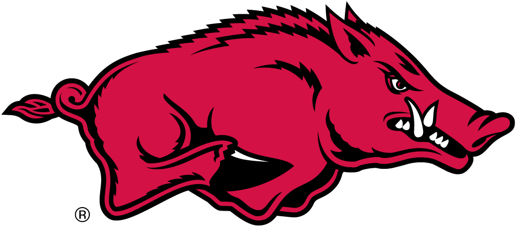 Arkansas Razorbacks 2001-2013 Primary Logo iron on paper